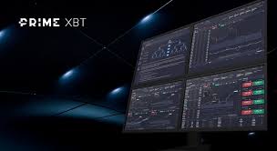 Exploring the Potential of the Platform PrimeXBT