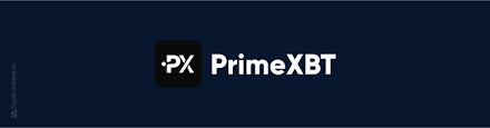 Exploring the Potential of the Platform PrimeXBT