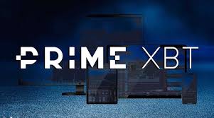 Exploring the Potential of the Platform PrimeXBT