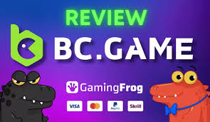 Understanding the Importance of Your bc.game ID